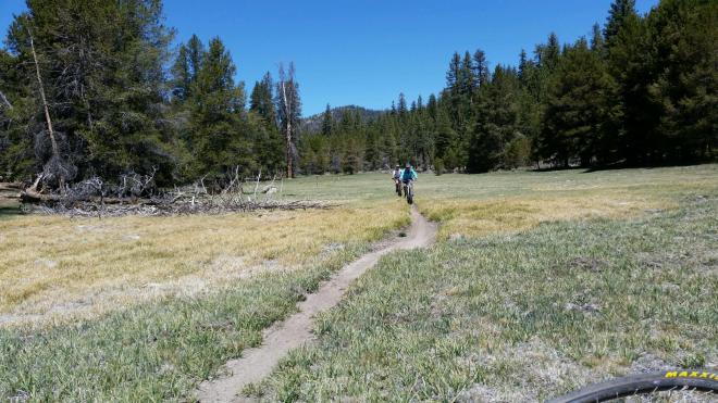One of the many meadows we crossed before hitting the Plunge.